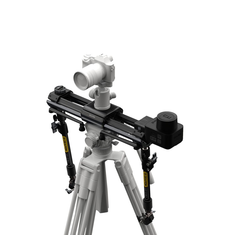 export.jpg