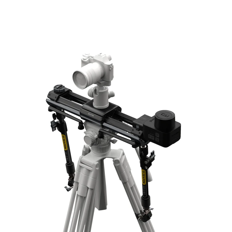 export.jpg