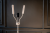 export.jpg