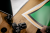 export.jpg