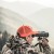 lornetka-vortex-razor-uhd-10x50-7e3d98f2ca0345d2970873a52c773da9-070302b0 (1).jpg