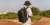 export.jpg