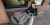 export.jpg