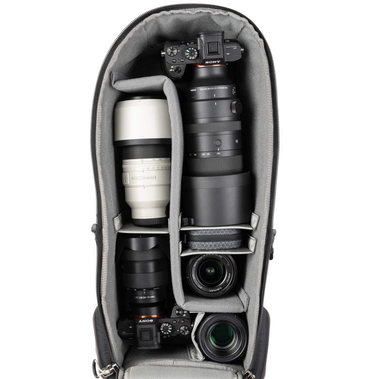 BackLight-Long-Lens-Gear-Sony-A7-Sigma-150-600.jpg
