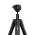 PT-S-BK-1_Studio_ (7).jpeg