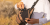 export.jpg
