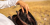 export.jpg