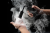 inspo_01_129973.png