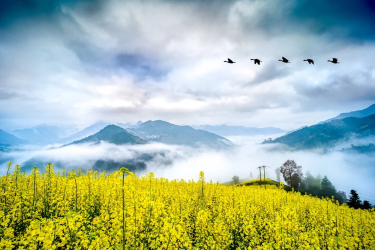 obiektyw-venus-optics-laowa-15-mm-f-4-macro-do-sony-e (11).jpg