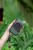DSC09132 拷贝 — kopia.jpg