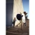 FJ800-6-BTS-Eli-Infante-1500x1500_1000x.webp