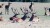spectrum_luneta_cyfrowa_delta_optical_spectrum.jpg