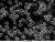 genetic-pro-mono_20151130_144106_583956-1-.jpg