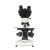 genetic-pro-bino_img_6097b.jpg