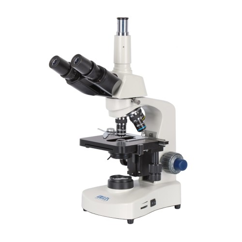 genetic-pro-trino_img_0705b.jpg