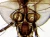 1000x751_product_media_2001-3000_2018_12_14_09_39_05_B_Radius8_Smoothing4(1)-j.webp