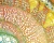 1000x800_product_media_7001-8000_20170426_135230_593822-j.webp