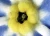 1000x724_product_media_7001-8000_20170509_142156_277091-j.webp