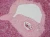 1000x751_product_media_7001-8000_20170509_142157_020000-j.webp