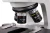 1000x667_product_media_23001-24000_IMG_8554-j.webp