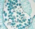 1000x837_product_media_44001-45000_x10_E610_2-j.webp