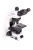 667x1000_product_media_45001-46000_IMG_1522-j.webp
