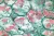 1000x667_product_media_45001-46000_Solanum_400x-j.webp