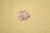 1000x667_product_media_45001-46000_Chromosomy_1000x-j.webp
