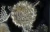 1000x648_product_media_45001-46000_2019_12_27_22_51_59_B_Radius6_Smoothing1_otwornica_400x_DF_56zdj-j.webp
