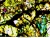 1200x929_product_media_48001-49000_20151130_144104_794127(1)-j.webp