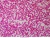 1200x929_product_media_48001-49000_20151130_144106_373489(1)-j.webp