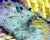 1000x802_product_media_1-1000_20170628_152332_573914-j.webp