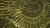 1000x563_product_media_1-1000_amonit_8x(1)-j.webp