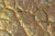 1000x667_product_media_1-1000_faktura_15x-j.webp