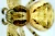 1000x667_product_media_1-1000_Xysticus_33x(1)-j.webp