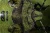 1000x667_product_media_7001-8000_2017_09_17_10_24_22_C(1)-j.webp