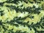 1000x750_product_media_12001-13000_20151210_145541_517859-j.webp