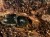 1000x750_product_media_2001-3000_20160418_115050_876746-j.webp