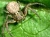 1000x750_product_media_2001-3000_20160418_115051_143678-j.webp