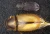 1000x682_product_media_12001-13000_2020_01_31_11_45_18_B_Radius8_Smoothing3_Coleoptera_20x_19zdj-j.webp