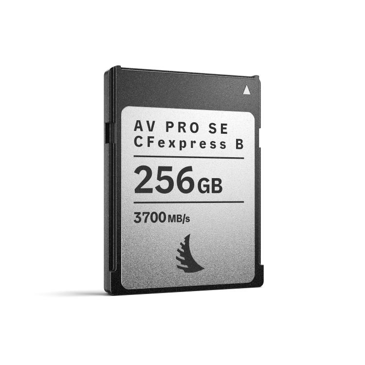 AV-PRO-CFexpress-B-SE-MK2_256GB_01_Web_3000x3000_20260513.png