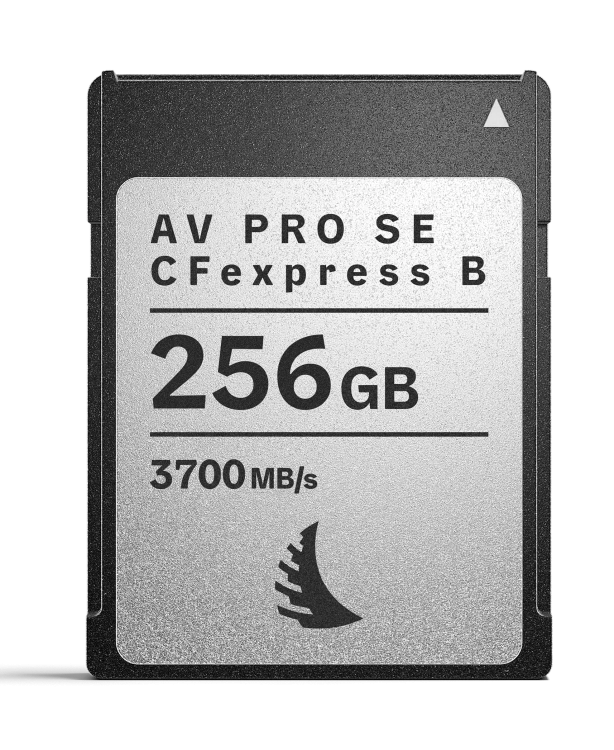AV-PRO-CFexpress-B-SE-MK2_256GB_03_Web_3000x3000_20260513.png