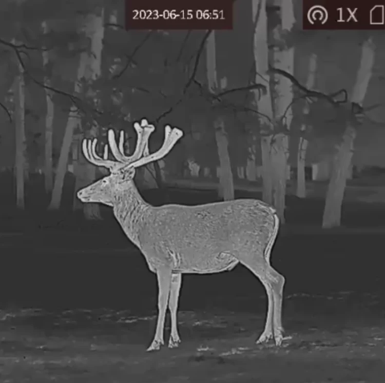 548-146_8.png