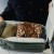 bags-travel-20L-sage-lifestyle-159A0295.jpg