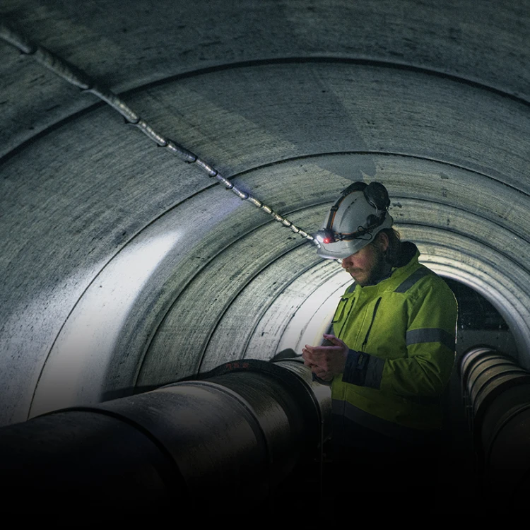 039-491_8.jpg
