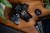 export.jpg